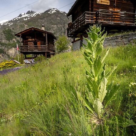 Kornstadel "Arida Prata" Grächen Exterior foto