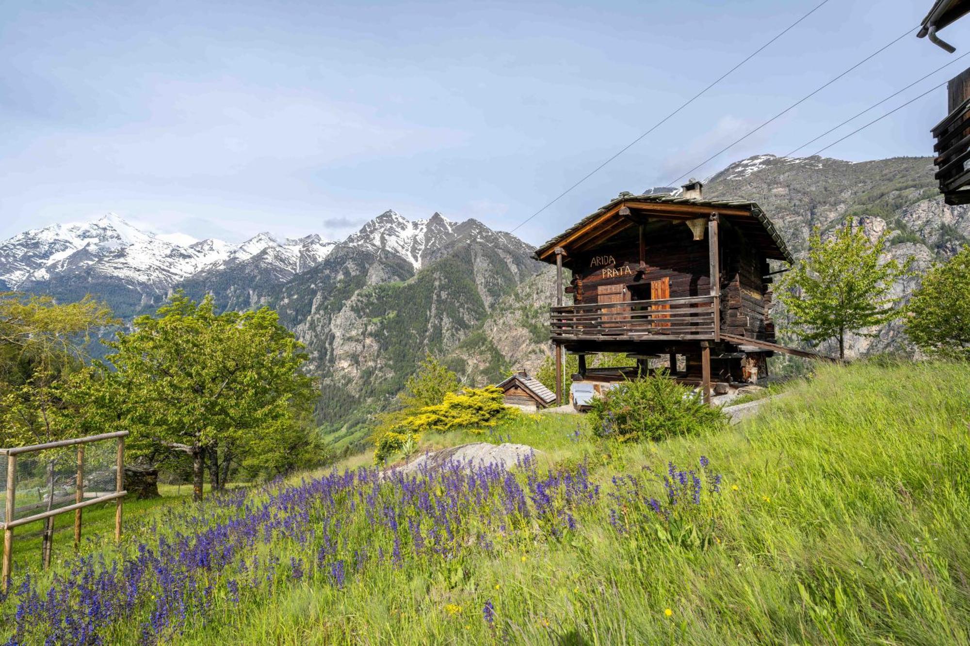 Kornstadel "Arida Prata" Grächen Exterior foto