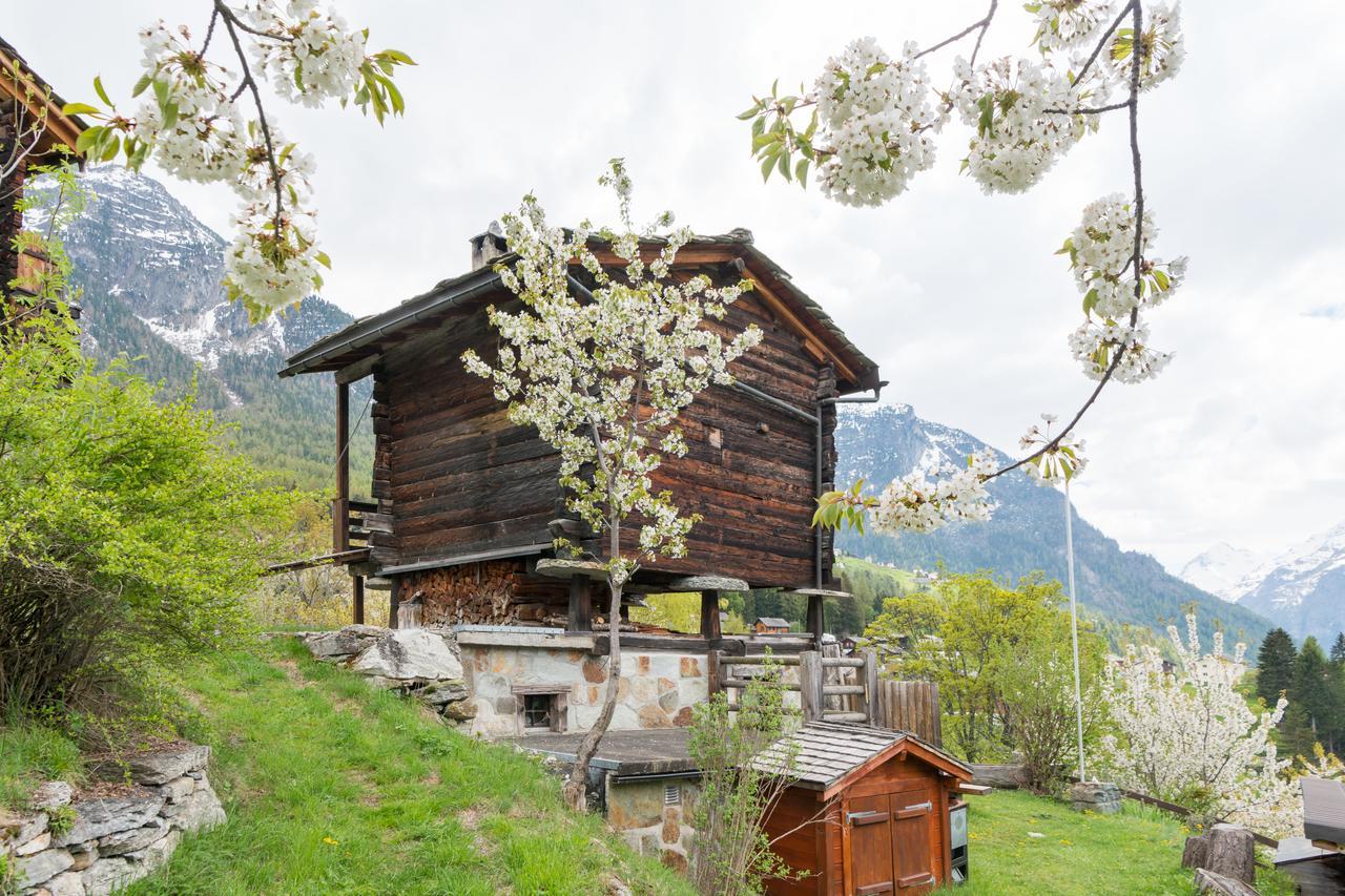 Kornstadel "Arida Prata" Grächen Exterior foto